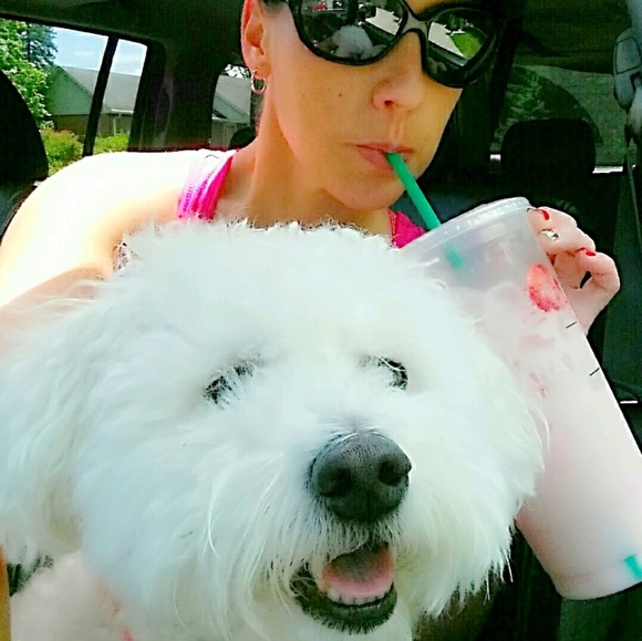 Meet your Posher, Krys - Picture 1 of 1